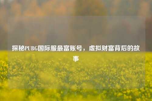 探秘PUBG国际服最富账号,虚拟财富背后的故事