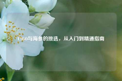 CSGO与海参的挑选,从入门到精通指南