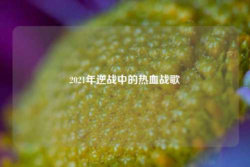 2021年逆战中的热血战歌