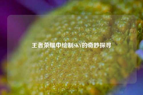 王者荣耀中绘制SKY的奇妙探寻