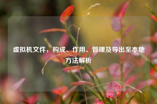 虚拟机文件,构成、作用、管理及导出至本地方法解析