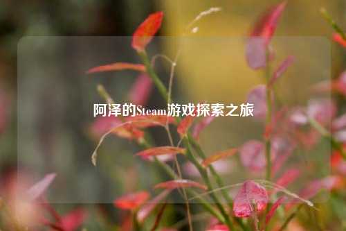 阿泽的Steam游戏探索之旅