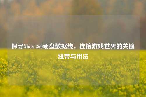 探寻Xbox 360硬盘数据线,连接游戏世界的关键纽带与用法