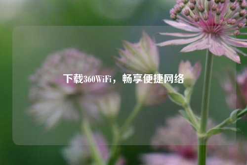 下载360WiFi，畅享便捷网络