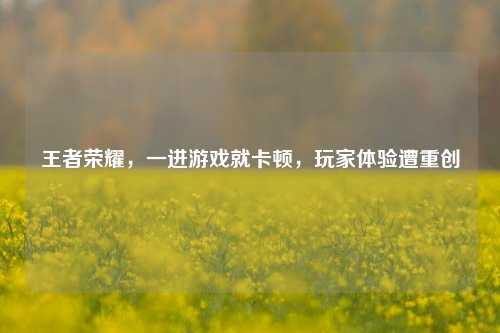 王者荣耀,一进游戏就卡顿,玩家体验遭重创