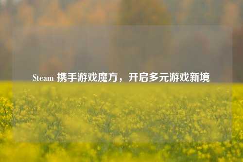 Steam 携手游戏魔方，开启多元游戏新境