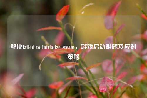 解决failed to initialize steam,游戏启动难题及应对策略