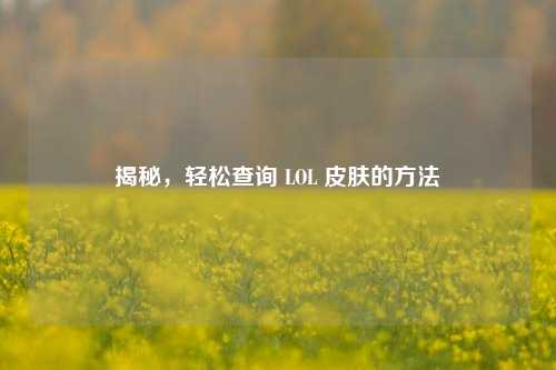 揭秘,轻松查询 LOL 皮肤的方法