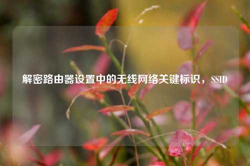 解密路由器设置中的无线网络关键标识,SSID