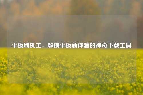 平板刷机王，解锁平板新体验的神奇下载工具