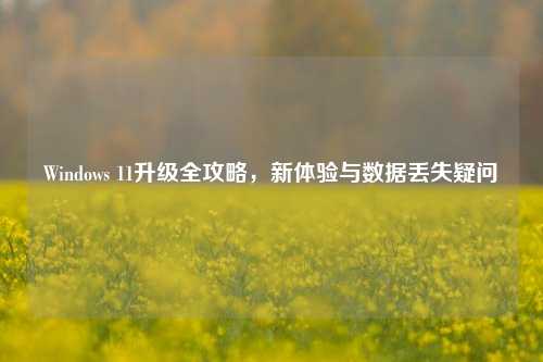 Windows 11升级全攻略,新体验与数据丢失疑问