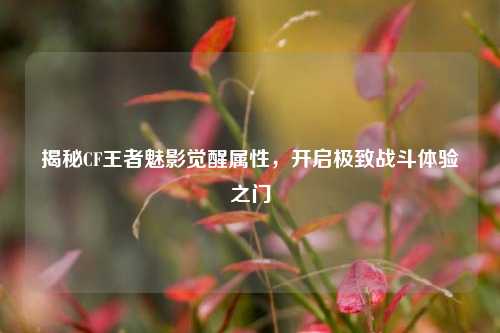 揭秘CF王者魅影觉醒属性,开启极致战斗体验之门