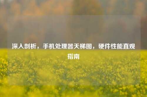 深入剖析,手机处理器天梯图,硬件性能直观指南