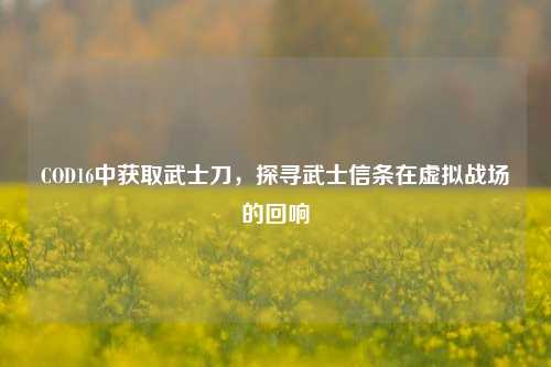 COD16中获取武士刀，探寻武士信条在虚拟战场的回响