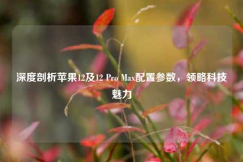 深度剖析苹果12及12 Pro Max配置参数,领略科技魅力