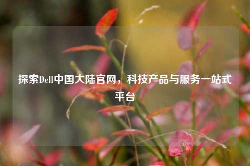 探索Dell中国大陆官网,科技产品与服务一站式平台