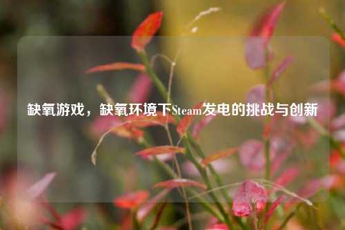 缺氧游戏，缺氧环境下Steam发电的挑战与创新