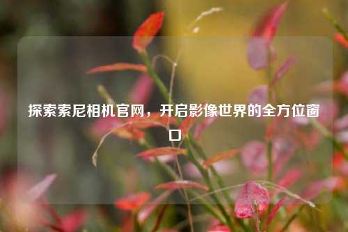 探索索尼相机官网,开启影像世界的全方位窗口