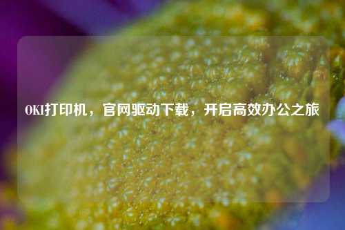OKI打印机,官网驱动下载,开启高效办公之旅