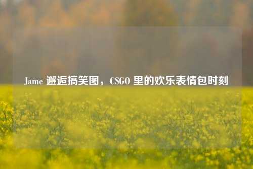 Jame 邂逅搞笑图,CSGO 里的欢乐表情包时刻