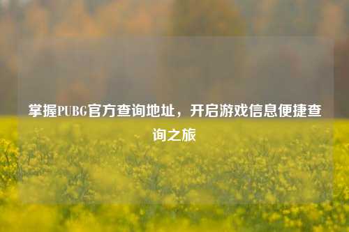 掌握PUBG官方查询地址，开启游戏信息便捷查询之旅