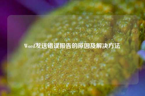 Word发送错误报告的原因及解决方法