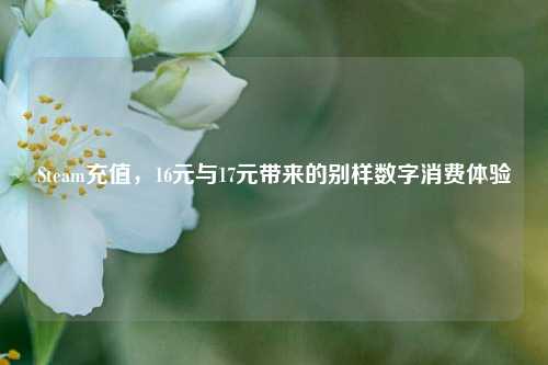 Steam充值,16元与17元带来的别样数字消费体验