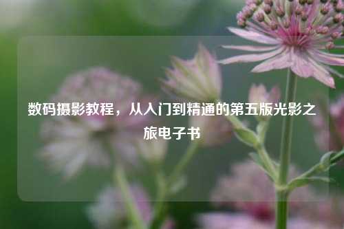 数码摄影教程,从入门到精通的第五版光影之旅电子书