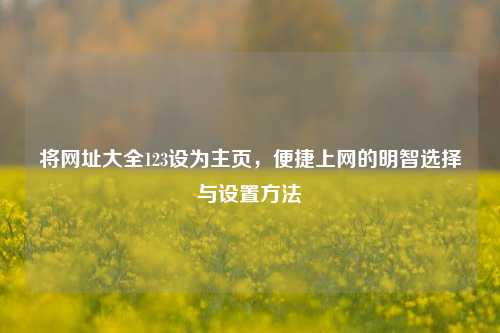 将网址大全123设为主页，便捷上网的明智选择与设置方法