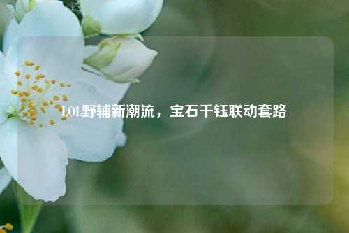 LOL野辅新潮流,宝石千钰联动套路