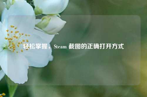 轻松掌握,Steam 截图的正确打开方式