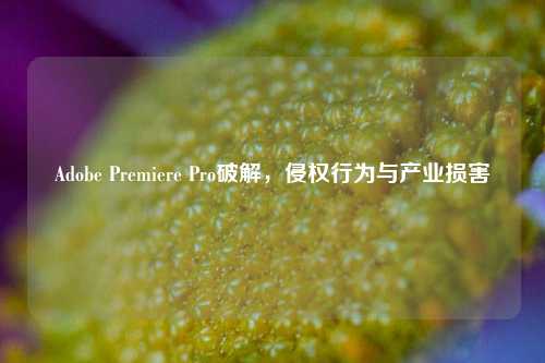 Adobe Premiere Pro破解,侵权行为与产业损害