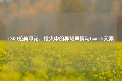CSGO拉美印花,枪火中的异域风情与Lambda元素