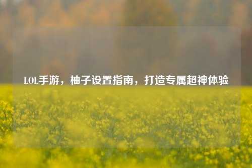 LOL手游,柚子设置指南,打造专属超神体验