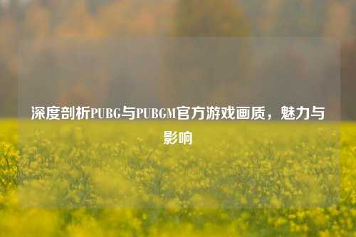 深度剖析PUBG与PUBGM官方游戏画质,魅力与影响