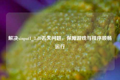 解决xinput1_3.dll丢失问题,保障游戏与程序顺畅运行