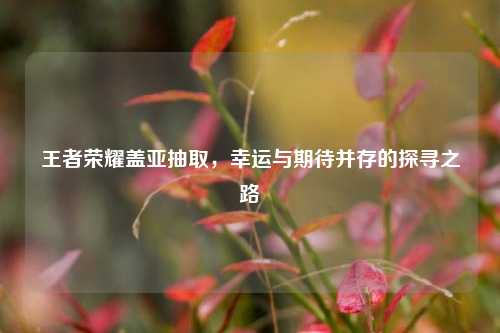 王者荣耀盖亚抽取,幸运与期待并存的探寻之路