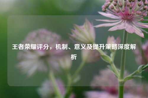 王者荣耀评分，机制、意义及提升策略深度解析