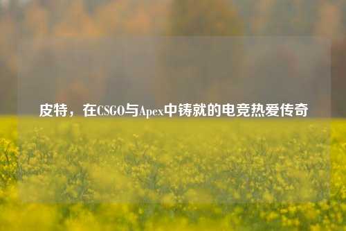 皮特，在CSGO与Apex中铸就的电竞热爱传奇