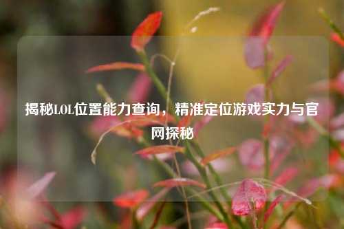揭秘LOL位置能力查询,精准定位游戏实力与官网探秘
