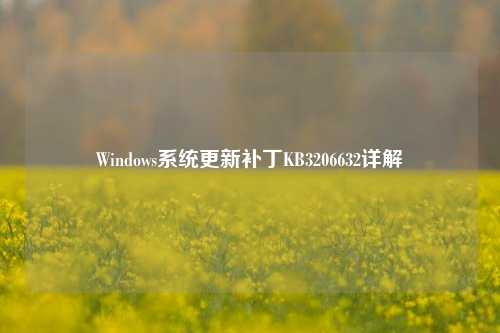 Windows系统更新补丁KB3206632详解