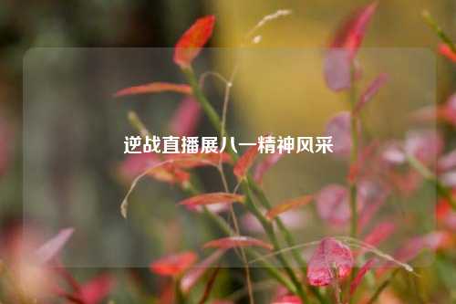 逆战直播展八一精神风采