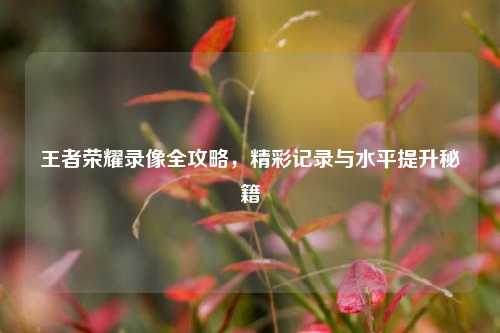 王者荣耀录像全攻略,精彩记录与水平提升秘籍