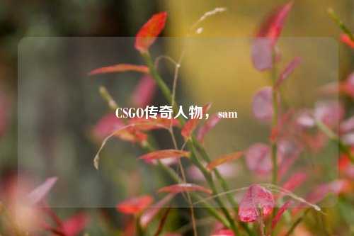 CSGO传奇人物，sam