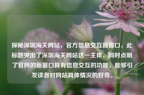 探秘深圳海关网站,官方信息交互新窗口,此标题突出了深圳海关网站这一主体,同时点明了官网的新窗口具有信息交互的功能,能够引发读者对网站具体情况的好奇。