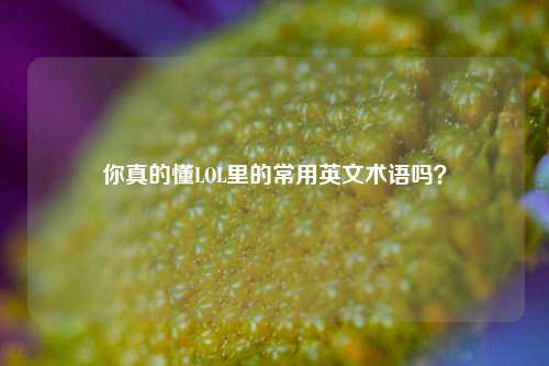 你真的懂LOL里的常用英文术语吗?