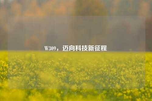 W309,迈向科技新征程
