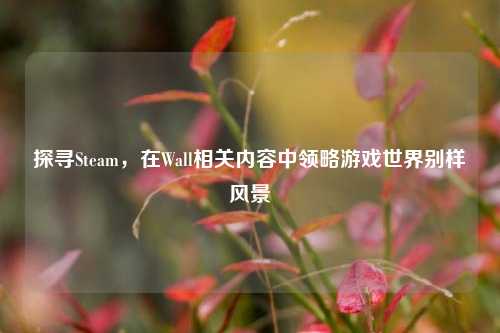 探寻Steam，在Wall相关内容中领略游戏世界别样风景