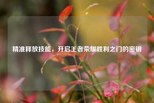 精准释放技能,开启王者荣耀胜利之门的密钥