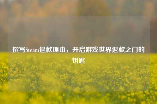 撰写Steam退款理由，开启游戏世界退款之门的钥匙